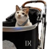 Bobby (kucing Prabowo) 13