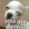olha que mentira