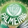 Palmeiras 🍃✨ 12
