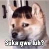 Suka gwe luh?