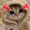 CAT CUTE EDIT😆 7