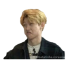 Meme kpop 11