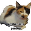 Animalitos groseros 11