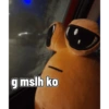 g mslh ko