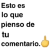 Esto es lo que pienso de tu comentario.