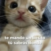 te mando un besito tú sabrás donde
