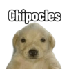 Lol 7