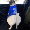 TON