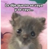 Le dije que no se vaya y se vayo...