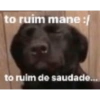 Reação 17