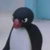 PINGU MEMES 14