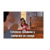 No conejo :0 22