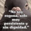 🧿Frases Migajeras🍞🐦 19