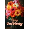 Good morning 29