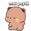BUCIN CIUM 15