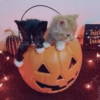 Figurinhas de Halloween 22