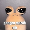 pengen marah sih
