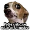 Padre cielo que estás en lo nuestro