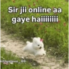 Funny quotes 🤠 15