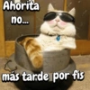 Ahorita no... más tarde por fis