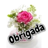 Lindas 22