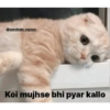 @sundram.saysss 16