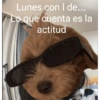 OTRA VEZ LUNES 😭😡 5