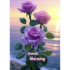 Good morning 26