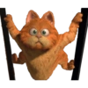 Garfield 🐱 5