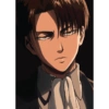 Levi 11