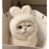CAT CUTE EDIT😆 9