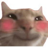 Kucing lucu 8