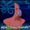 apa? mau marah?