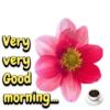 Good morning 26