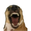 😵‍💫🤪🤡 Stickersss randomsss 🤡🤪😵‍💫 10