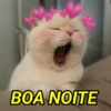 CUMPRIMENTOS FOFOS🥰 12
