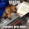 SEXTOU 拍拍 menos pra mim