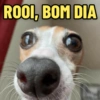 MEMES FANTÁSTICOS 14