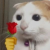 Animais com Emoji de Flor 🌹 14
