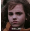 Harry Potter Indonesia 30