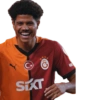 Galatasaray 13