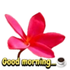 Good morning 23