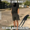 Nao 28