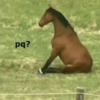 SHITPOST AQUI😜 6