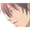 Junjou Romantica 30