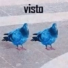 visto