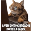 Michis pt. 2 14