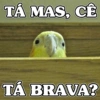 VEM QUE TEM DEBOCHE 17