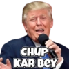 Donald Trump 15