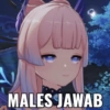 MALES JAWAB